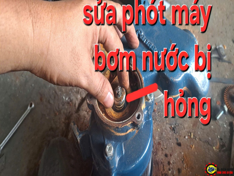 Thay phớt máy bơm nước đảy cao
